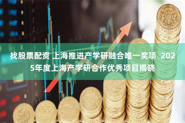 找股票配资 上海推进产学研融合唯一奖项  2025年度上海产学研合作优秀项目揭晓
