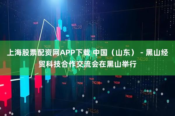 上海股票配资网APP下载 中国（山东）－黑山经贸科技合作交流会在黑山举行
