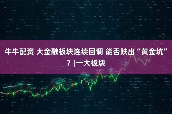 牛牛配资 大金融板块连续回调 能否跌出“黄金坑”？|一大板块