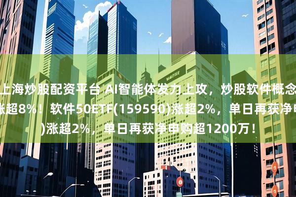 上海炒股配资平台 AI智能体发力上攻，炒股软件概念活跃，同花顺涨超8%！软件50ETF(159590)涨超2%，单日再获净申购超1200万！