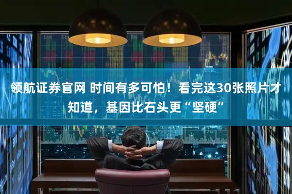 领航证券官网 时间有多可怕！看完这30张照片才知道，基因比石头更“坚硬”