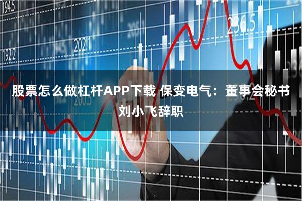 股票怎么做杠杆APP下载 保变电气：董事会秘书刘小飞辞职